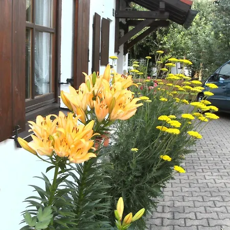 Haus Rotspitze *